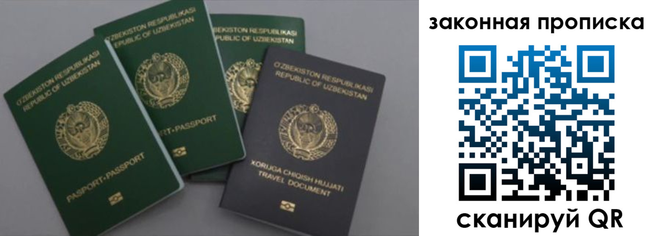прописка законно в Находке